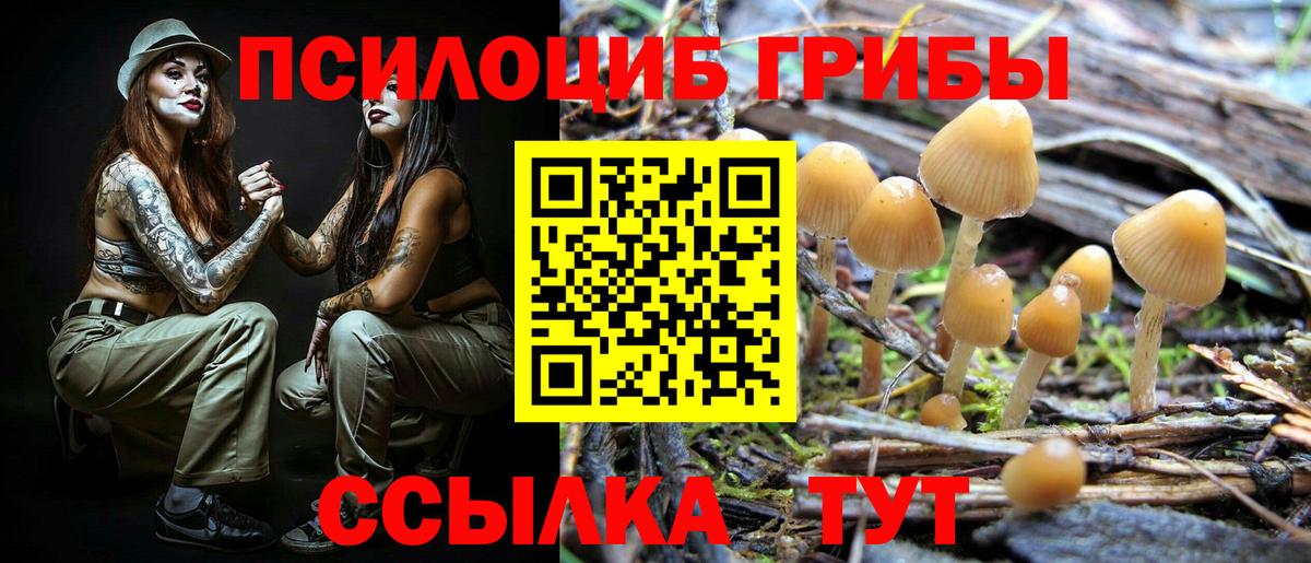 Cocaine  Курган  Меф кристаллы  A PVP СОЛЬ кристаллы  ГАШ  NBOMe  Вход с VPN  Бошки Шишки 