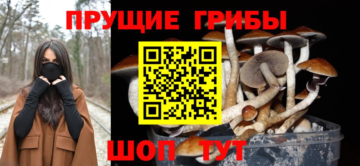 Галлюциногенные грибы Magic Shrooms Курган