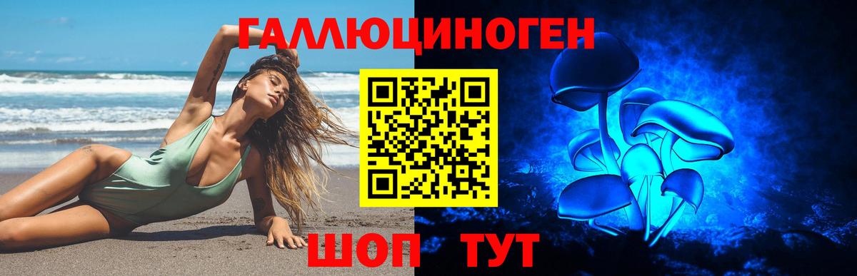 где купить наркоту  Псилоцибиновые грибы мухоморы  Вход с VPN  Курган  Галлюциногенные грибы GOLDEN TEACHER 